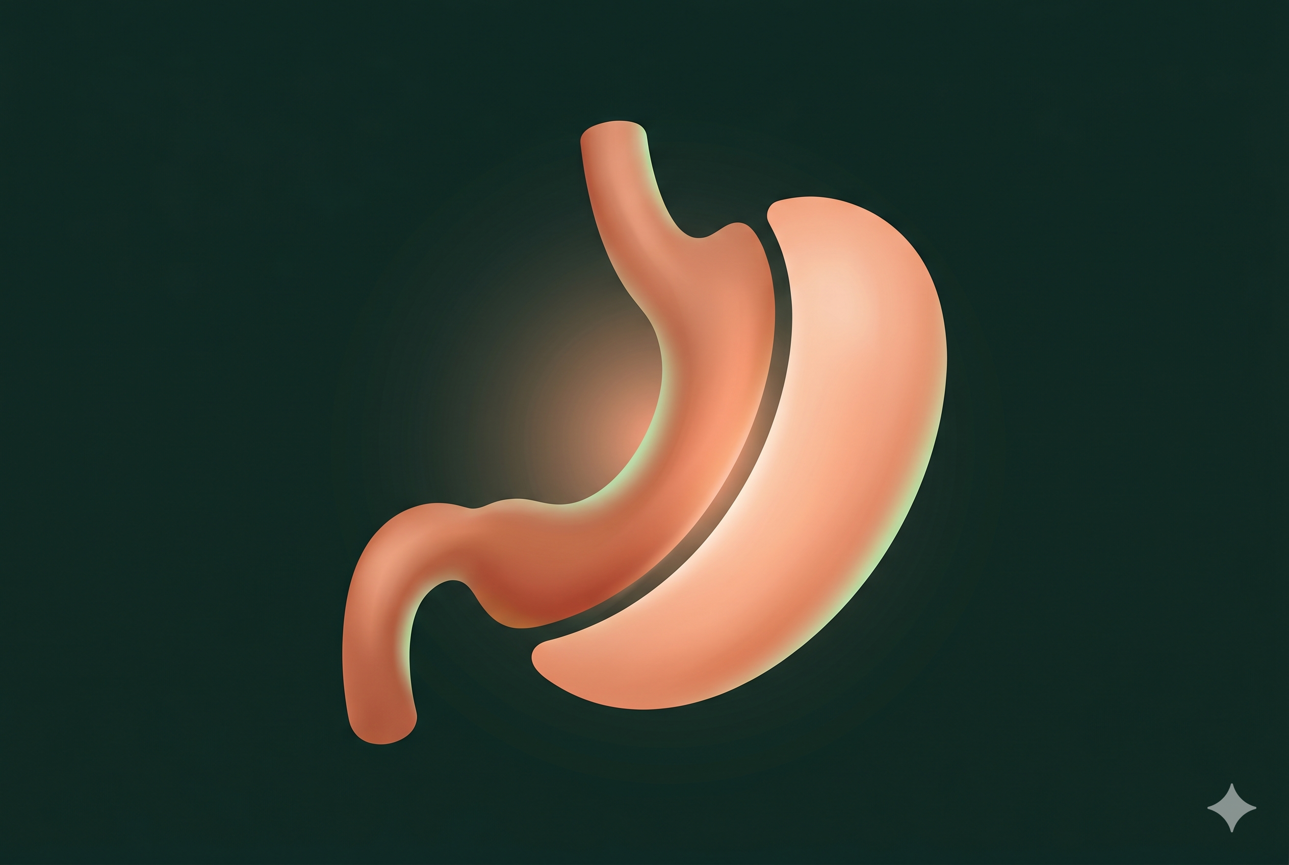 Gastric Sleeve